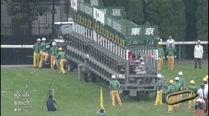 【2025　安田記念　GⅠ】　春のマイル王はどの馬だ！？　6/8 (日)　東京競馬場