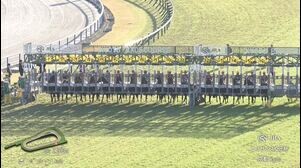 【2025　GⅠ　エリザベス女王杯】　女王の座を手にするのはどの馬か！？　11/16 (日)　京都競馬場