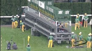 【2025　ヴィクトリアマイル　ＧⅠ】　古馬マイル女王はどの馬だ！？　5/18 (日)　東京競馬場
