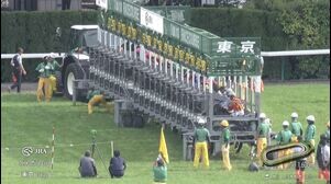 【2025　NHKマイルカップ　GⅠ】　3歳マイル王はどの馬だ？？　5/11(日)　東京競馬場