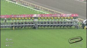 【2025　オークス　GⅠ】　樫の女王はどの馬だ？！　5/25 (日)　東京競馬場