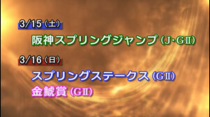 【今週の重賞インフォメーション】スプリングＳ他　3/16（日）