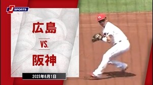 【ハイライト】広島 vs.阪神｜プロ野球2025公式戦(6月1日)#carp