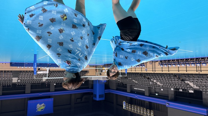 【あいおい】パナソニックパンサーズ　ロンT 練習着　永野選手 あいおい様専用】パナソニックパンサーズ ロンT 練習着 永野選手