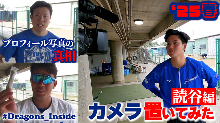 Amazon.co.jp: ドリームオーダー PSD01-B01 宮城 大弥