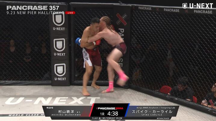 ブロック・レスナーは格闘技ファンの記憶に残り続ける=UFC
