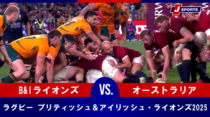 サンウルブズ元年を支えたボランティア 参戦2年目、そしてW杯