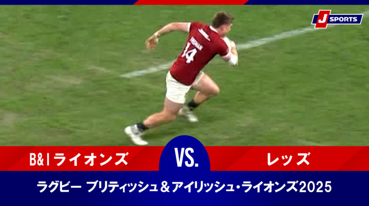 【海外Ｌサイズ】2025 ブリティッシュ＆アイリッシュライオンズ シングレット British & Irish Lions 2025 Poly シングレット レッド