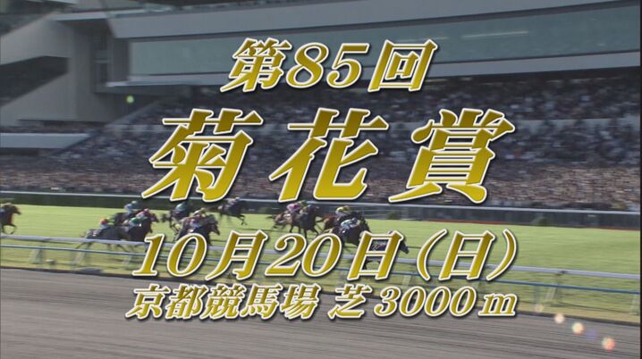 競馬AIが東京新聞杯、きさらぎ賞を大予想 7週連続的中へ厳選ワイド3点＆3連複10点で勝負！ - スポーツナビ