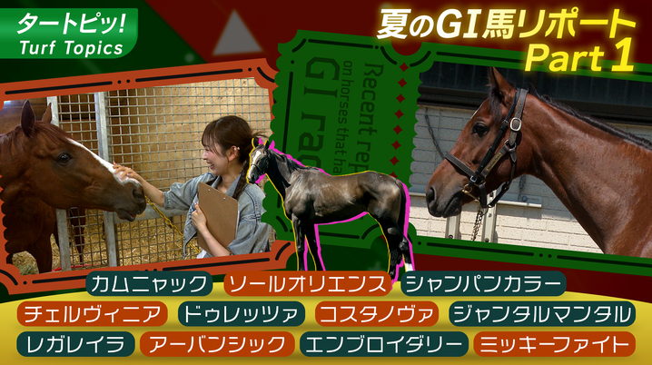馬のメモ帳　　アーモンドアイ&ワグネリアン 歓喜と悲しみのリスグラシュー有馬花道V 1周目誤算アーモンド