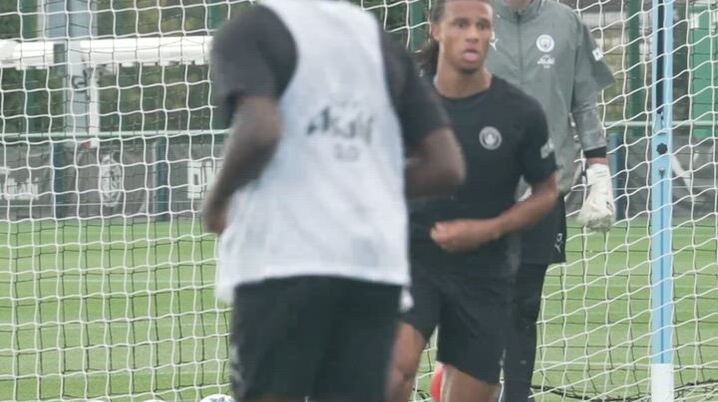 予期せぬ決勝＝2008年コパ・リベルタドーレス - スポーツナビ