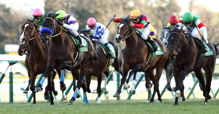 競馬AIが日経新春杯、京成杯を大予想 厳選ワイド3点＆3連複10点で勝負！ - スポーツナビ