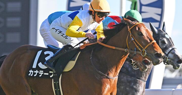 3歳未勝利戦でデビューする馬の狙いどころは？ - スポーツナビ