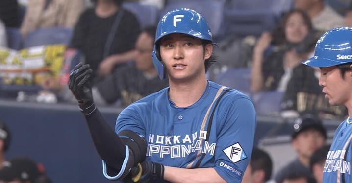 埼玉西武】2025年埼玉西武ライオンズファンクラブ球場入会限定お