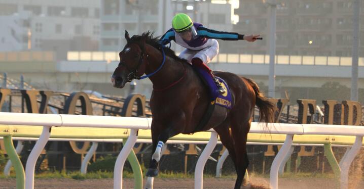 小回りでは万馬券が出やすい！地方馬イグナイター連覇か、シャマルなどJRA馬か／佐賀・JBCスプリントデータ分析 - スポーツナビ