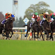 競馬AIが東京新聞杯、きさらぎ賞を大予想 7週連続的中へ厳選ワイド3点＆3連複10点で勝負！ - スポーツナビ