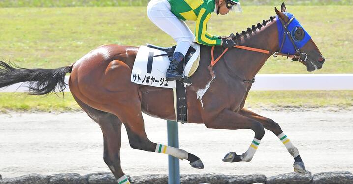 C.ルメールが語る思い出の日本ダービー イクイノックスで参戦する今年
