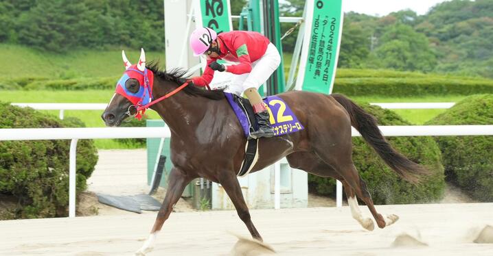 競馬AIがアイビスSD、クイーンSを大予想 厳選ワイド3点＆3連複10点で勝負！ - スポーツナビ