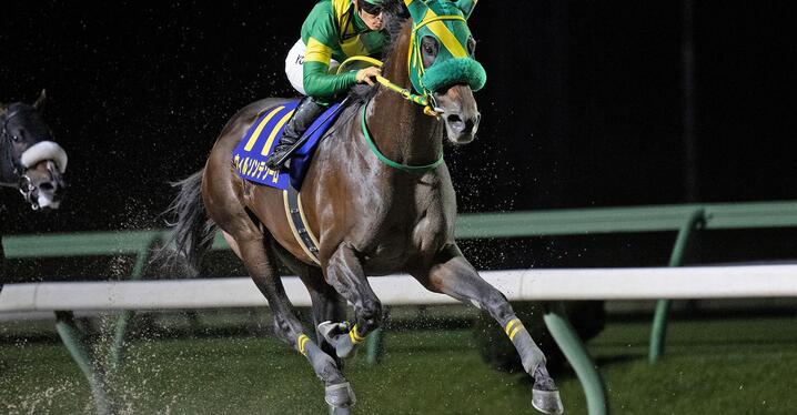 競馬 - スポーツナビ