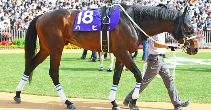 C.ルメールが語る思い出の日本ダービー イクイノックスで参戦