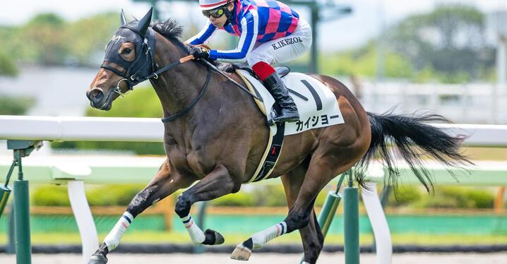 希少　ダンスインザダーク　NHP GI'S 競馬　武豊 菊花賞名勝負】武豊のド派手なガッツポーズ ダービーの無念
