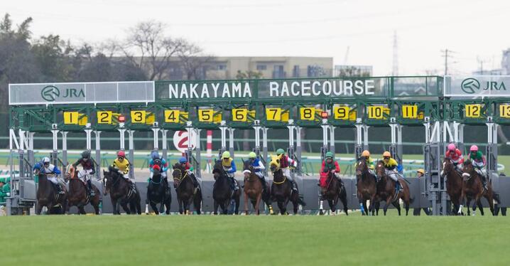 競馬AIがオールカマー、神戸新聞杯を大予想 厳選ワイド3点＆3連複10点で勝負！ - スポーツナビ