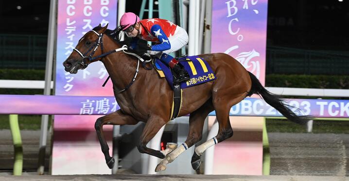 川田将雅にとって「忘れられない1年」 超良血馬たちの鞍上で起きた変化 - スポーツナビ