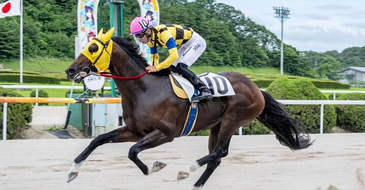 データ回顧 キングカメハメハの蹄績 日本競馬史上でも屈指の万能