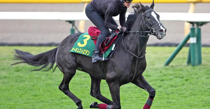 菊Vフィエールマンは競馬界のエムバペ ルメール「才能があれば経験はいらない」 - スポーツナビ