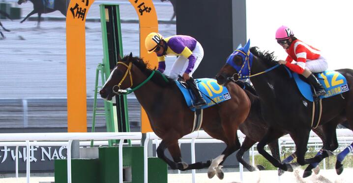 競馬　アバンティ　サイレンススズカ　金鯱賞Ver Sサイズ　未使用　おまけ！ サイレンススズカ｜3分でわかった気になる名馬 JRA