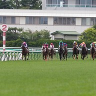 小川諒也選手、太田宏介選手サイン直筆 太田宏介と小川諒也の最も熱い左SB争い 日本代表にこの選手を