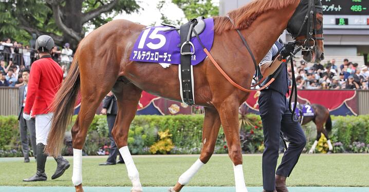 3歳未勝利戦でデビューする馬の狙いどころは？ - スポーツナビ