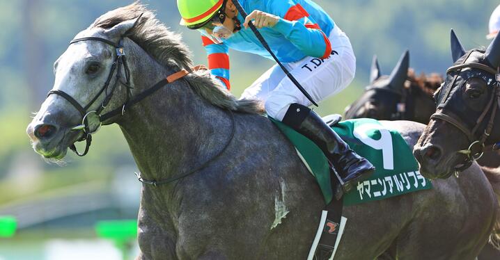 安田記念】ラスト1ハロンに世界レベルの脚を見た――香港馬