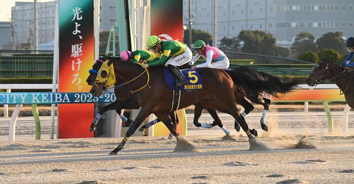 競馬AIがオールカマー、神戸新聞杯を大予想 厳選ワイド3点＆3連複10点で勝負！ - スポーツナビ