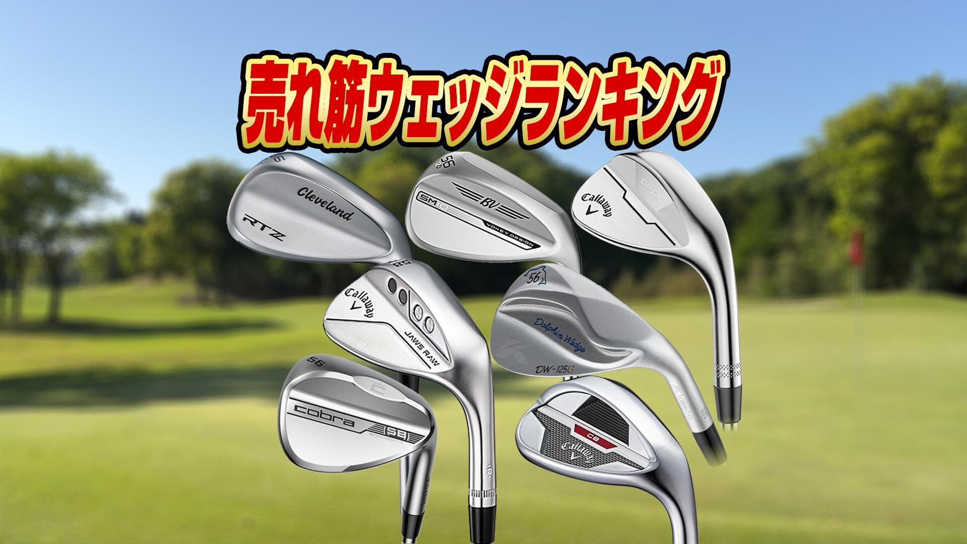 ゴルフ - YGN6200（ユピテル） - スポーツナビ