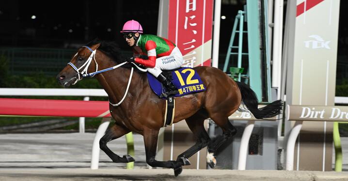 海外通販サイト ブランド 競馬 アバンティ サイレンススズカ