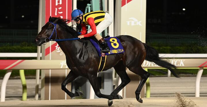 クロワデュノール　メイクデビュー（新馬戦）　現地的中単勝馬券　⭐︎ホープフルS制覇 ホープフルS結果】クロワデュノールが無傷3連勝で2歳中距離王