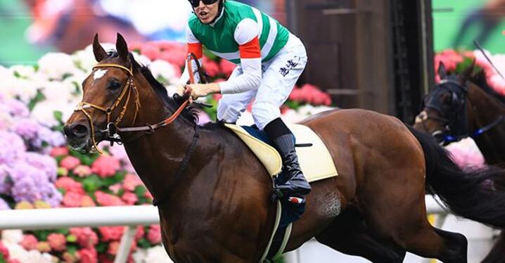 高松宮記念的中の競馬予想AI、大阪杯で評価アップした人気の盲点 高松宮記念的中の競馬予想AI、大阪杯で評価アップした人気の盲点