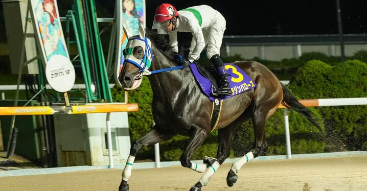 現地購入的中単勝馬券【3歳未勝利（デビュー2戦目/初勝利）】エアシャカール 現地購入的中単勝馬券【3歳未勝利（デビュー2戦目/初勝利