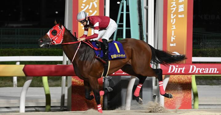 新馬戦で1秒差以上の圧勝を飾った馬の次走を分析する - スポーツナビ