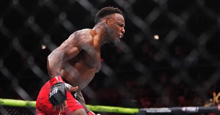 UFC PRIDE フィギュア ヴェラスケス ドスサントス アンデウソンシウバ UFC PRIDE フィギュア ヴェラスケス ドスサントス アンデウソン