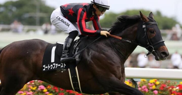 3歳未勝利戦でデビューする馬の狙いどころは？ - スポーツナビ