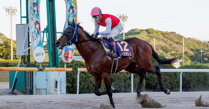 2強」が不在のフェブラリーSを制する馬は？ - スポーツナビ