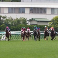 ラファエル・ ナダル選手 本人着用 直筆サイン入り ウェア 全米オープン2011