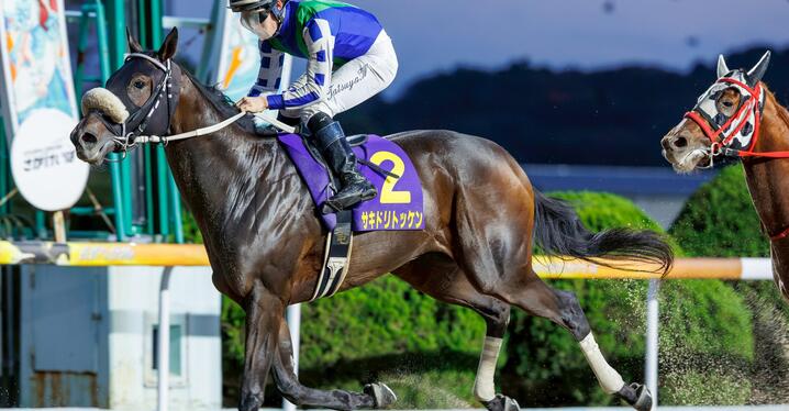 3歳未勝利戦でデビューする馬の狙いどころは？ - スポーツナビ