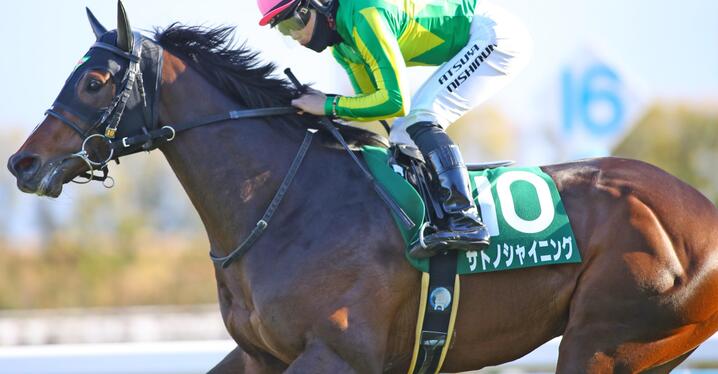 競馬　アバンティ　サイレンススズカ　金鯱賞Ver Sサイズ　未使用　おまけ！ 重賞見どころ・金鯱賞】サイレンススズカの再現へ、武豊騎手が