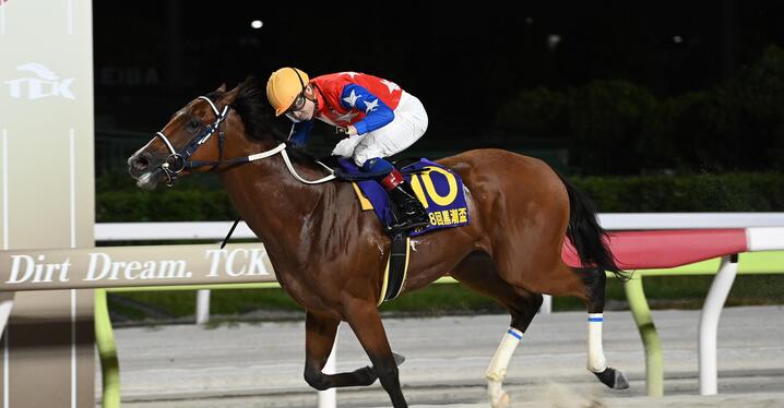 リスグラシュー 現地馬券 宝塚記念 有馬記念引退レース 優勝 レーン 2枚セット 2025年最新】記念馬券の人気アイテム - メルカリ