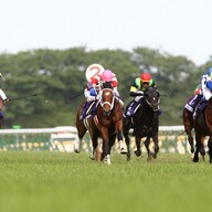 ステラマッカートニー アディダス テニスウェア マリア