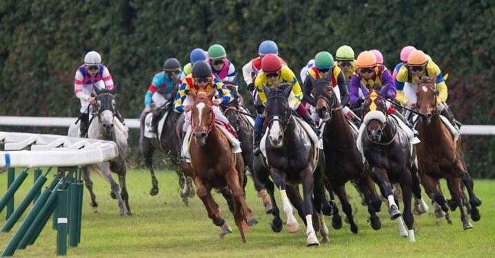 競馬AIがエプソムカップ、函館スプリントSを大予想 厳選ワイド3点＆3連複10点で勝負！ - スポーツナビ