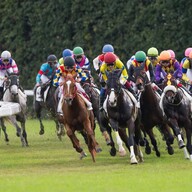 競馬AIがエプソムカップ、函館スプリントSを大予想 厳選ワイド3点＆3連複10点で勝負！ - スポーツナビ